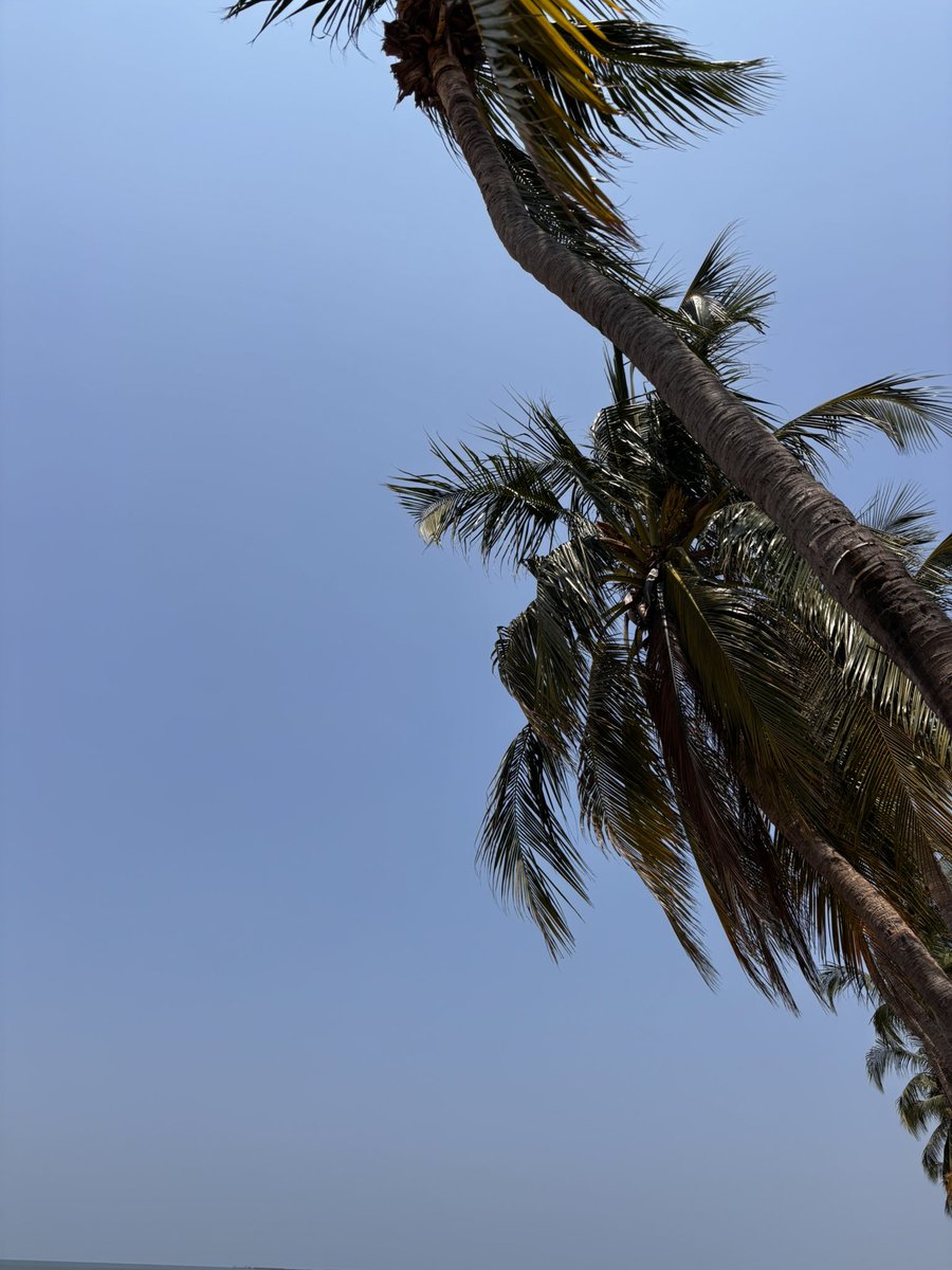 มักเน่ tweet media