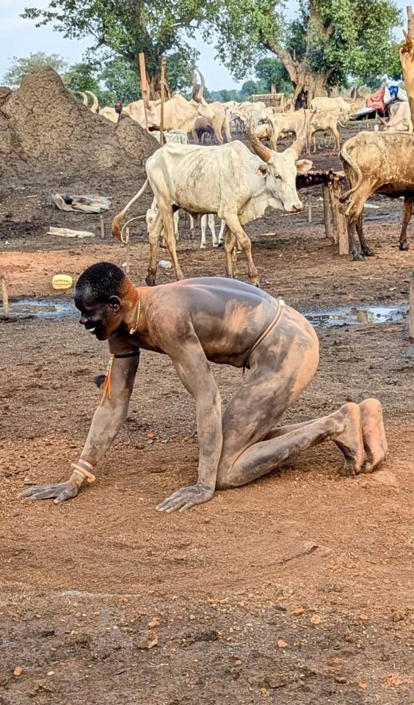 yaaargle tweet media