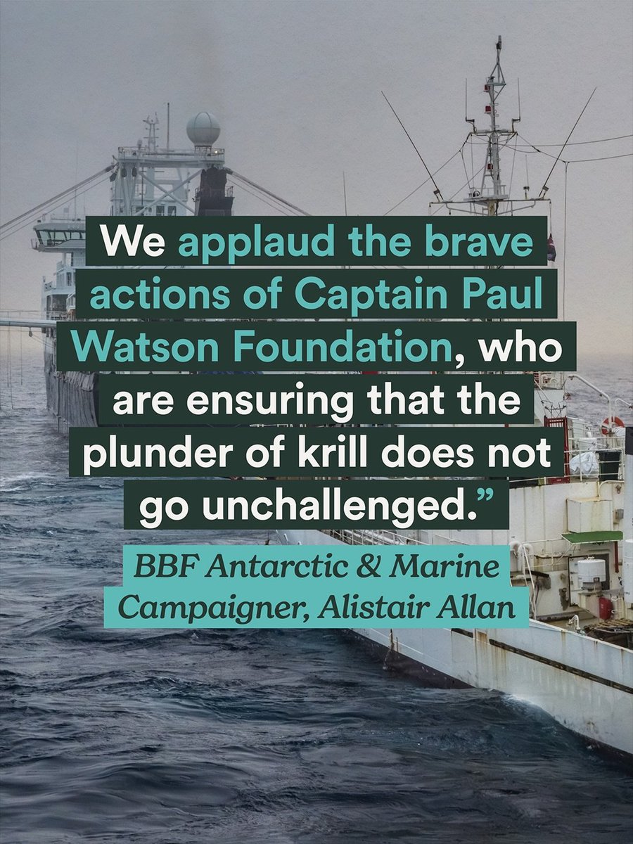 Shark Safety WA tweet media