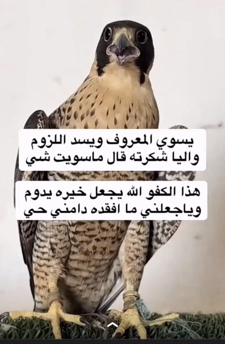 @Fahd-2025 tweet media