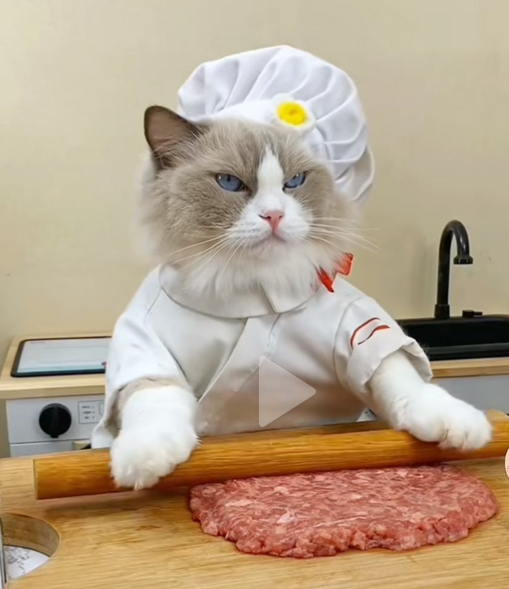 ThatLilPuffCat's tweet photo. $PUFF doesn’t stop cooking what a good cat! 🐱 https://t.co/SuBwJWnUE0