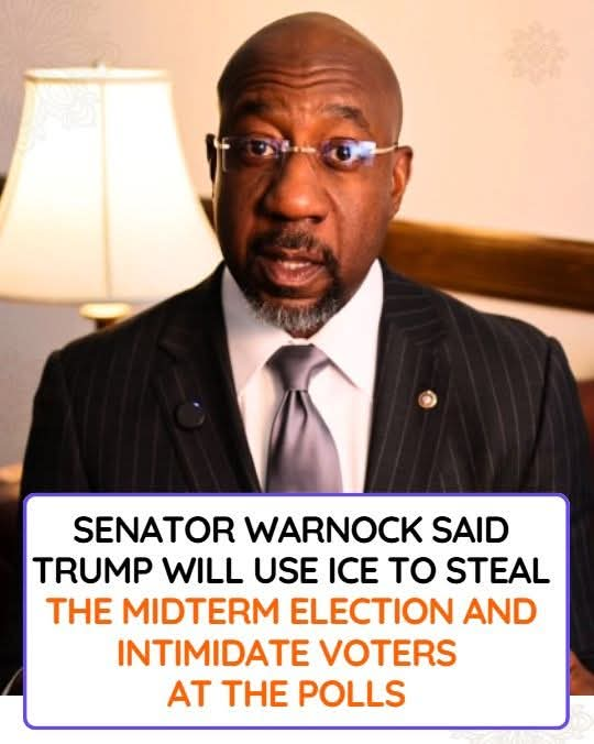 Anti Left Memes tweet media