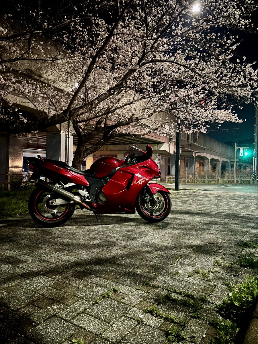 Napo0412's tweet photo. 桜の季節ですね〜
やっぱりバイクと桜は映ますねぇ〜 https://t.co/10dHwyHQTY
