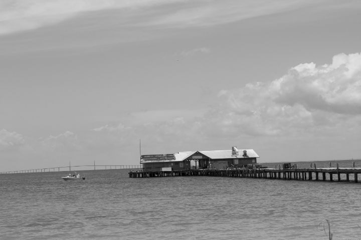 wildercountry's tweet photo. Art of the Day! "Anna Maria City Pier". Buy at: https://t.co/jFMFZKfdGq https://t.co/bftEKvJiG7