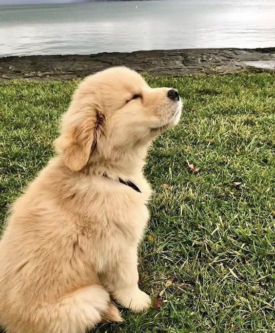 เดอะตุร tweet media