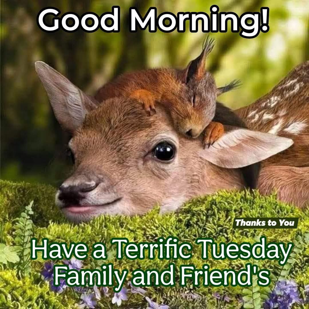 Gary Sharman tweet media