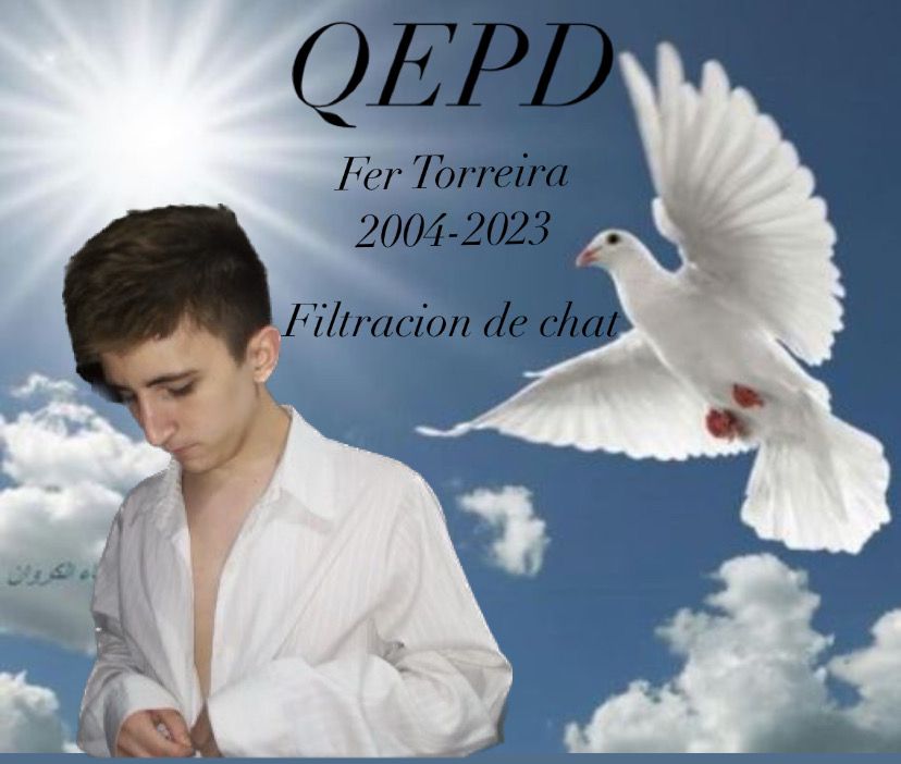 yggiP 🐖 tweet media