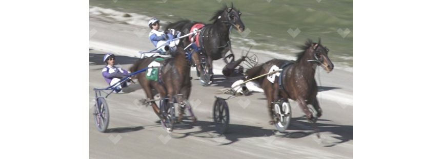 IndianaHarness's tweet photo. Rip Wheeler roars home Monday, April 6 at Oak Grove: https://t.co/Ff15JnN6PP #racelikeahoosier  @INStandardbred @harnessindiana https://t.co/qCiWXkmA3y