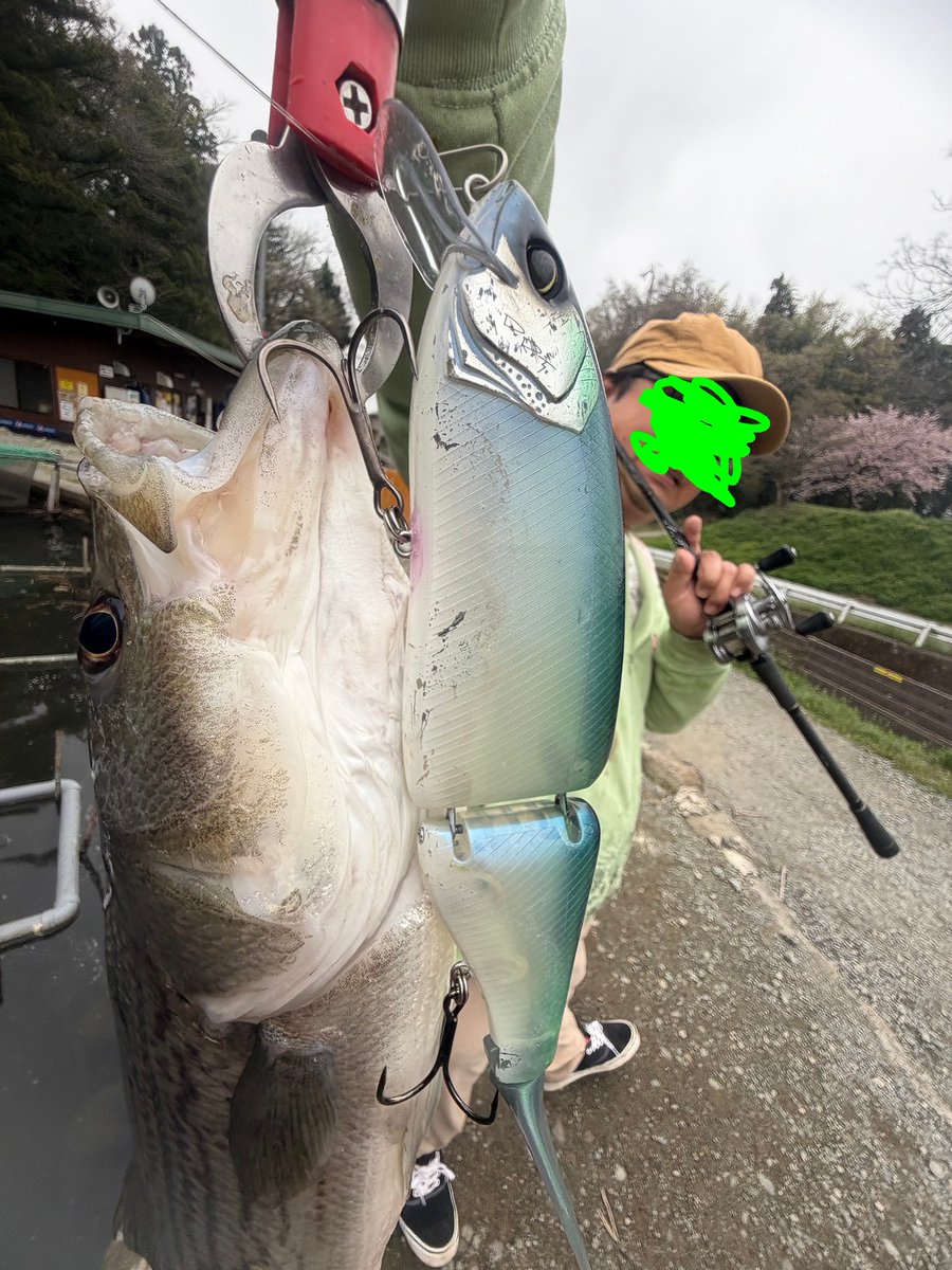 JokerSeraphy's tweet photo. 更にK9 ロールリップ+modeBで
ゆっくりとぐりピタしたら
ドン！！とストライパー！！

K9の方のFL CLEAR Matt
やっと入魂でございやす😆

ちな、MAVグランドスラムリーチ

#DRT
#クラッシュ9
#KLASH9
#RollLIP
#modeB
#Fishオリカラ
#FLCLEARMatt https://t.co/dnQDGSp8jx