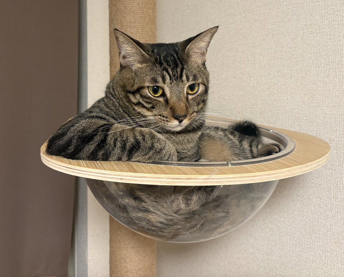 †𝖈𝖆𝖗𝖔† tweet media