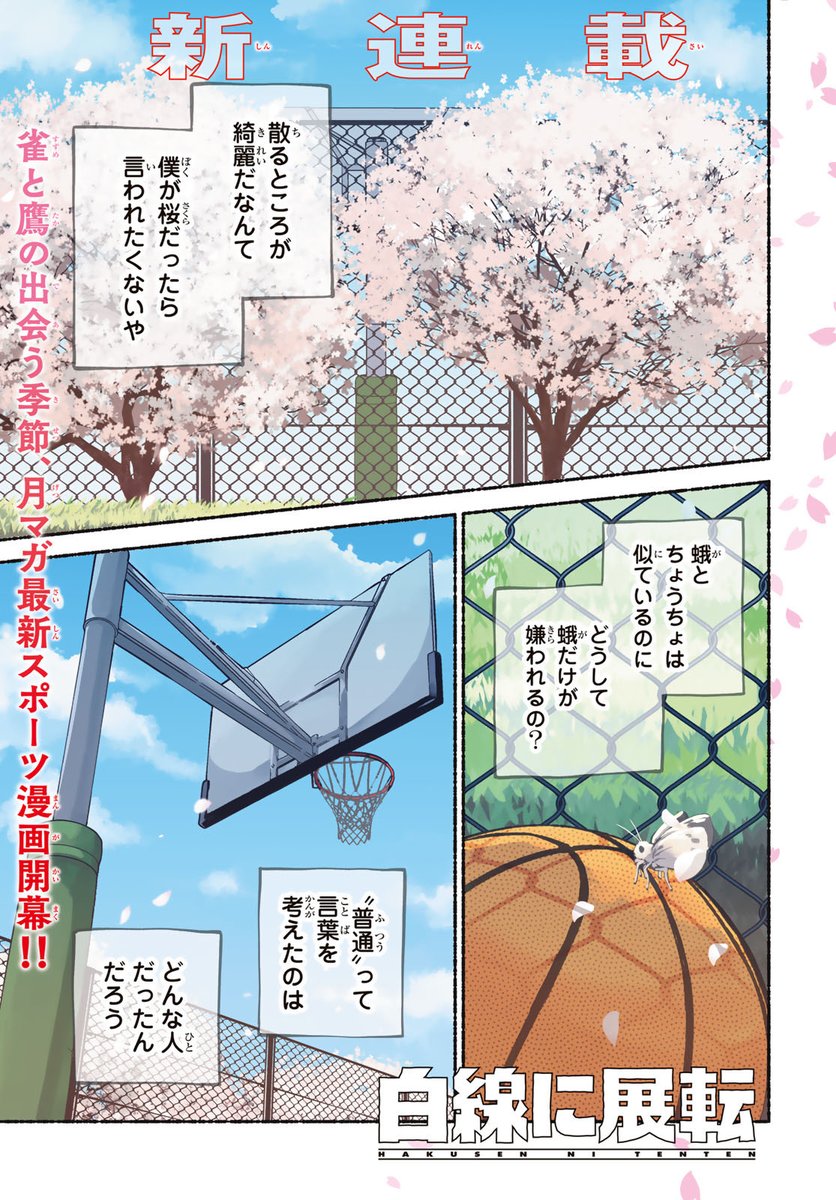 白線に展転【公式】 tweet media