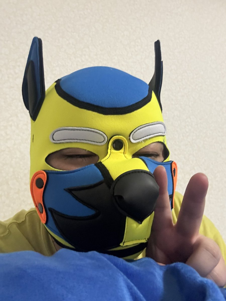 さのすわん🐾 🐕 tweet media