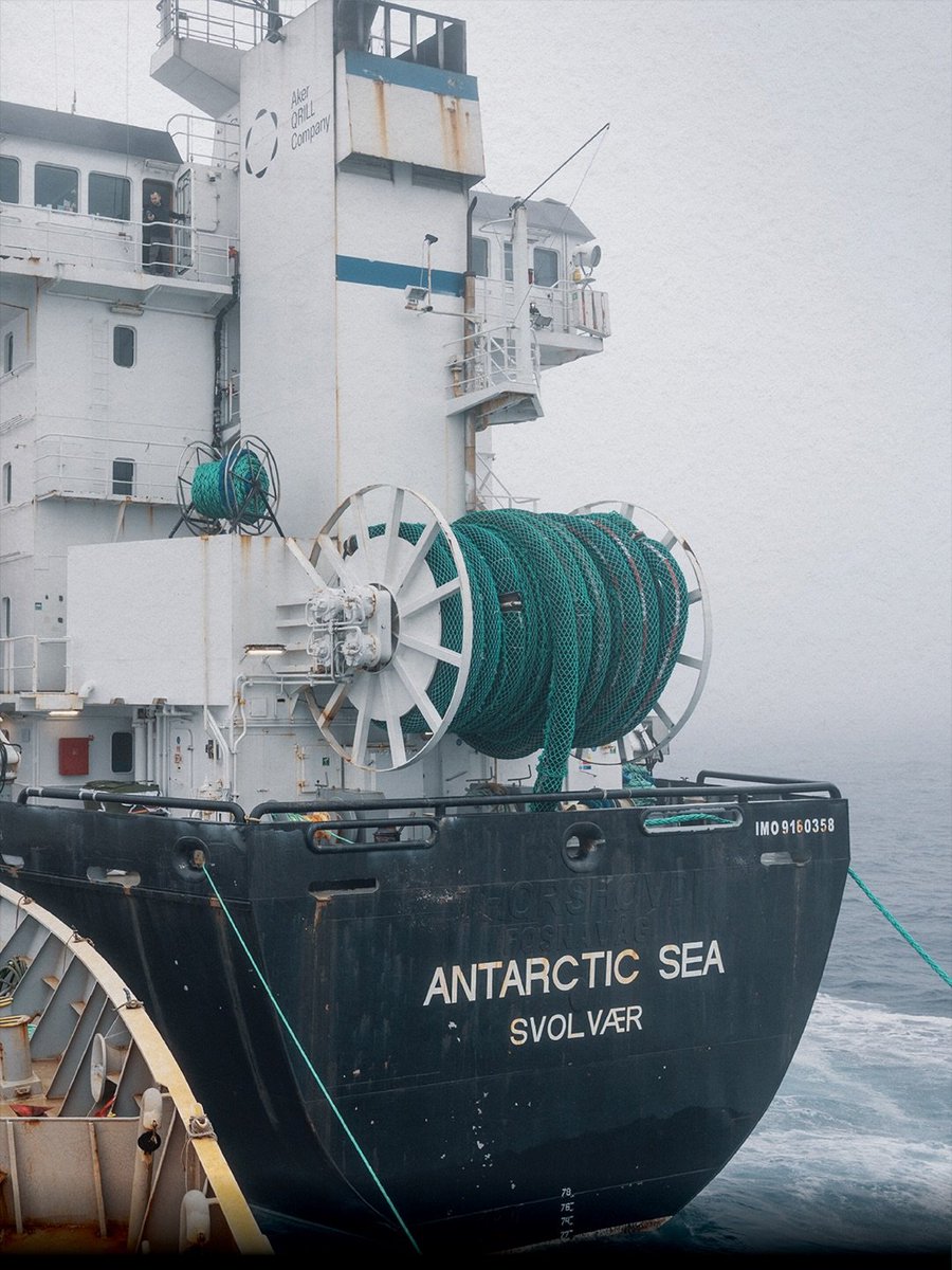 Shark Safety WA tweet media