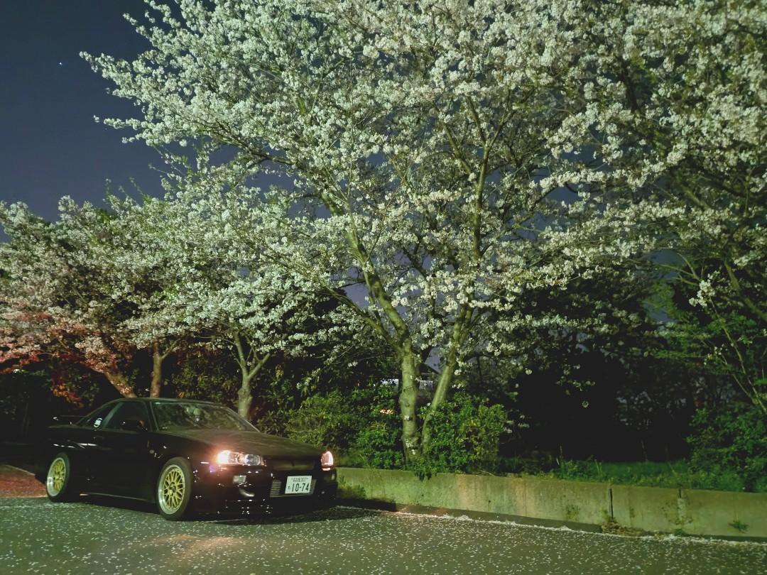 🚙みんなの車とバイクの盗難情報🏍 tweet media