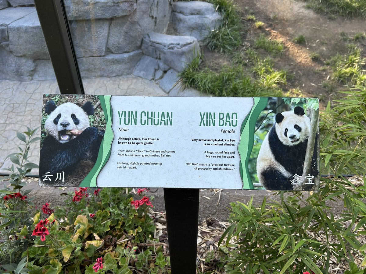 Feng Chu tweet media