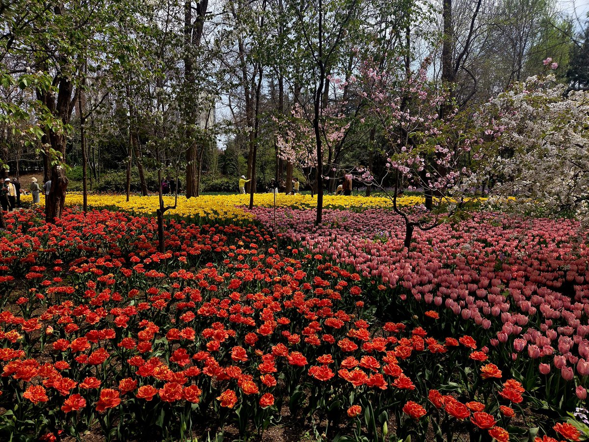 Raintreee tweet media