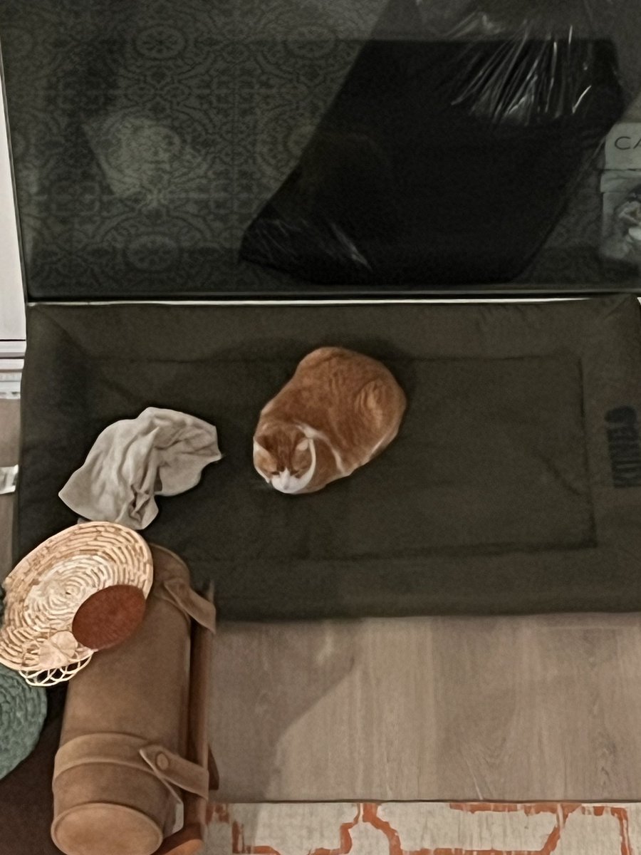 Jalluzasss tweet media