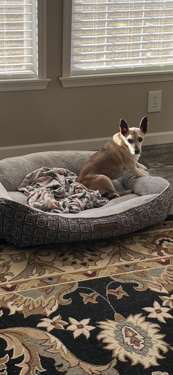 Anita Gandy (Durr) tweet media