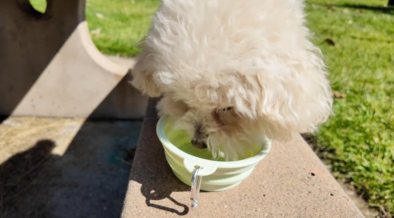 𝐂𝐡𝐞𝐑ྀི 🌅🍒 tweet media