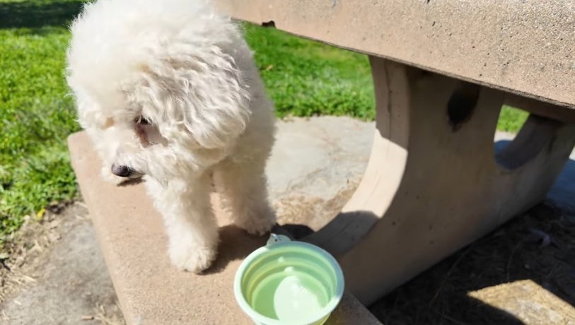 𝐂𝐡𝐞𝐑ྀི 🌅🍒 tweet media