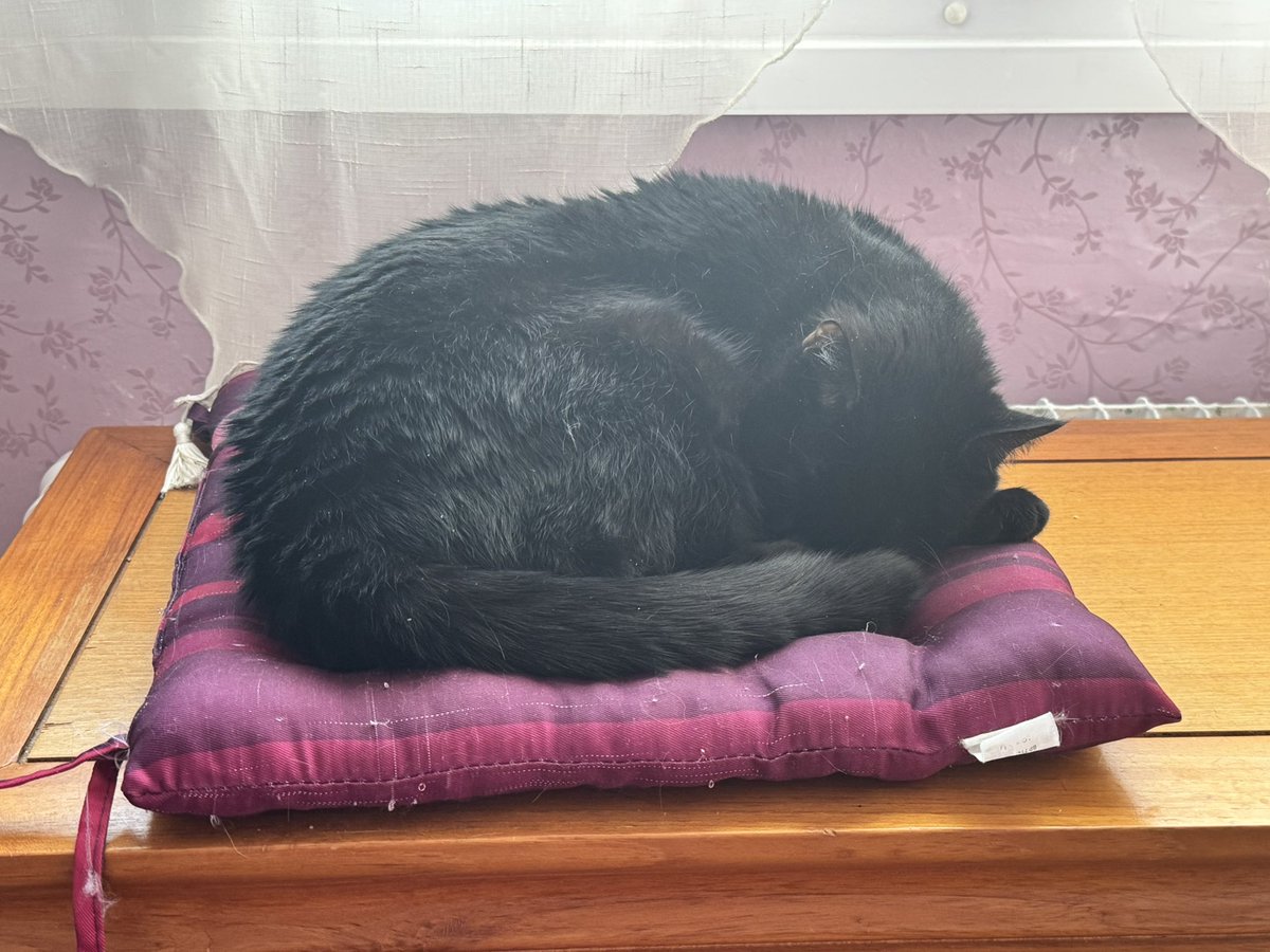 Châteauroux et Salem tweet media