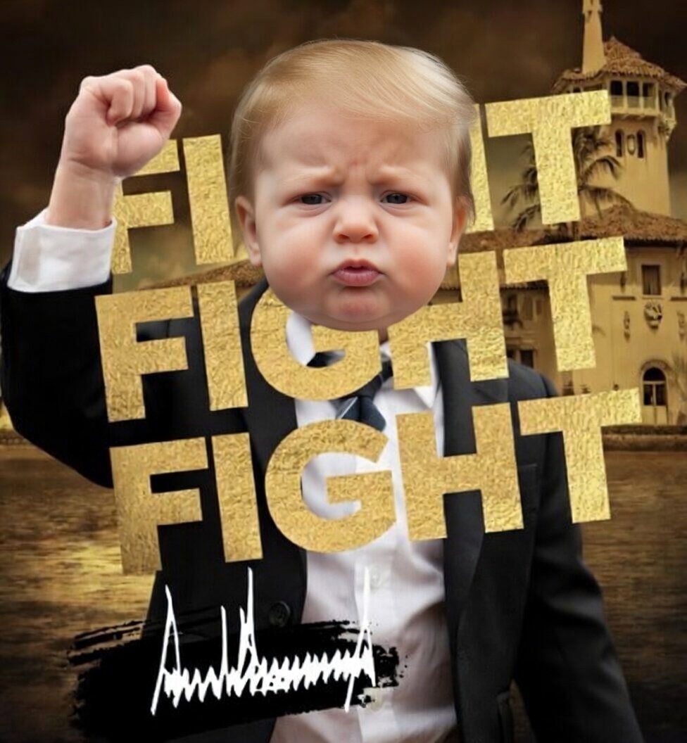 aid_ah31366's tweet photo. BabyTrump 😁

Fight https://t.co/Wi9timixnr