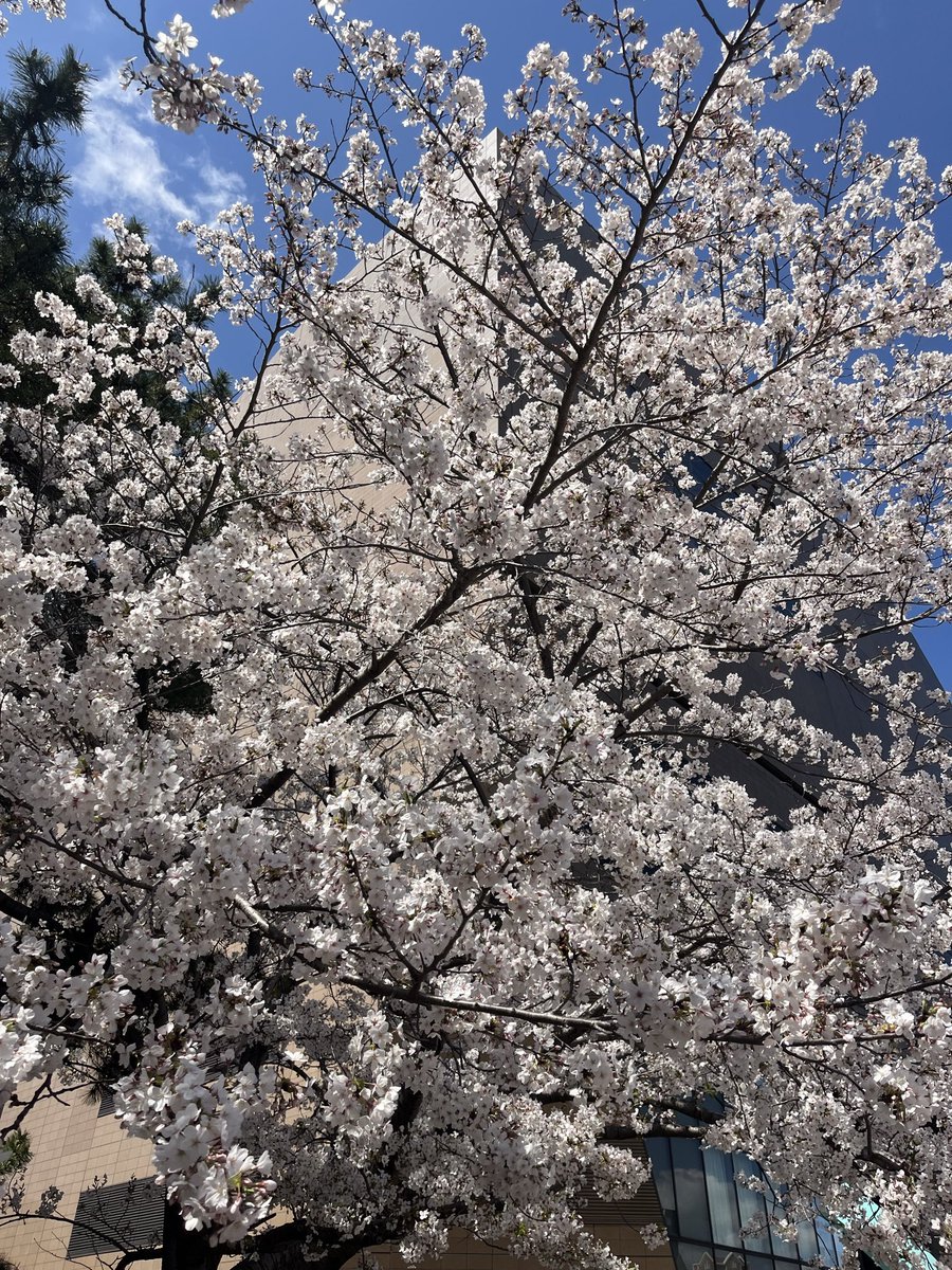 rock🔥 tweet media