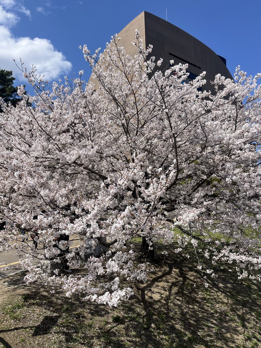 rock🔥 tweet media