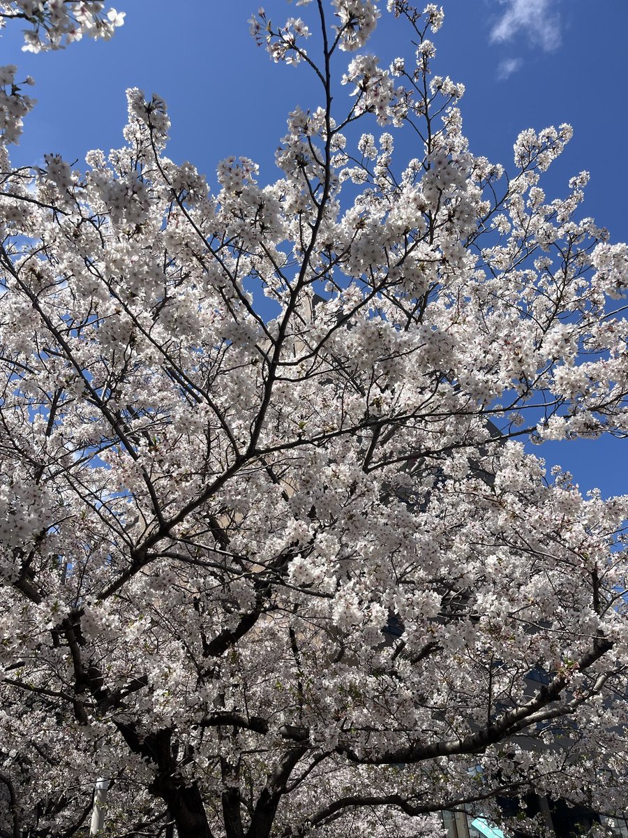 rock🔥 tweet media