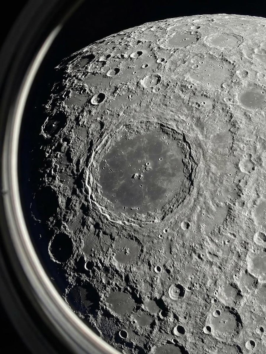 Sugoi Dekai tweet media