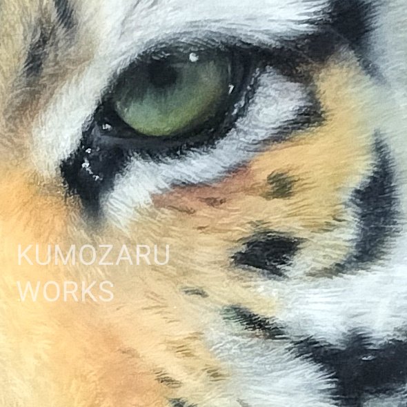 くもざる【パステル絵描き】 tweet media