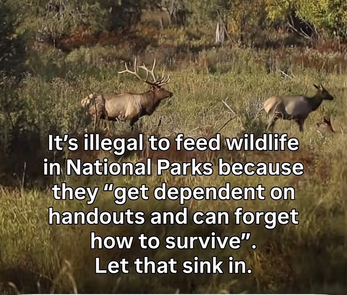 Farm Girl Carrie 👩‍🌾 tweet media