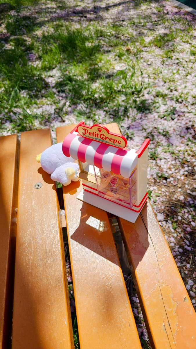 사과상자(비밀요원P-임무수행중) tweet media