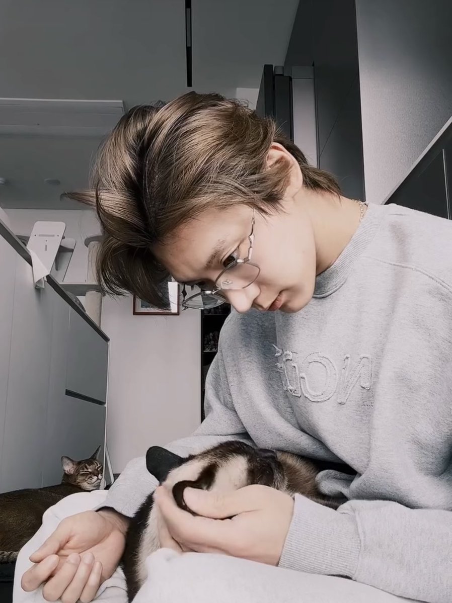 ฮอลลล์ ヅ tweet media