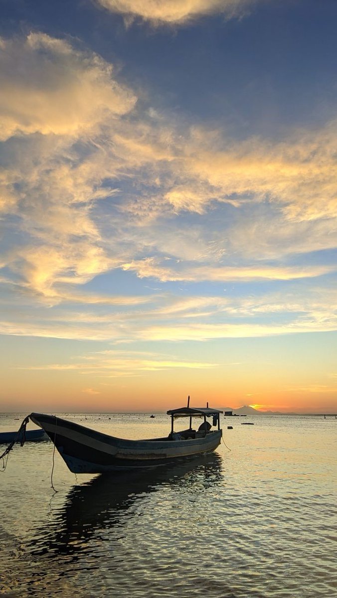 Bosky 🦍 tweet media