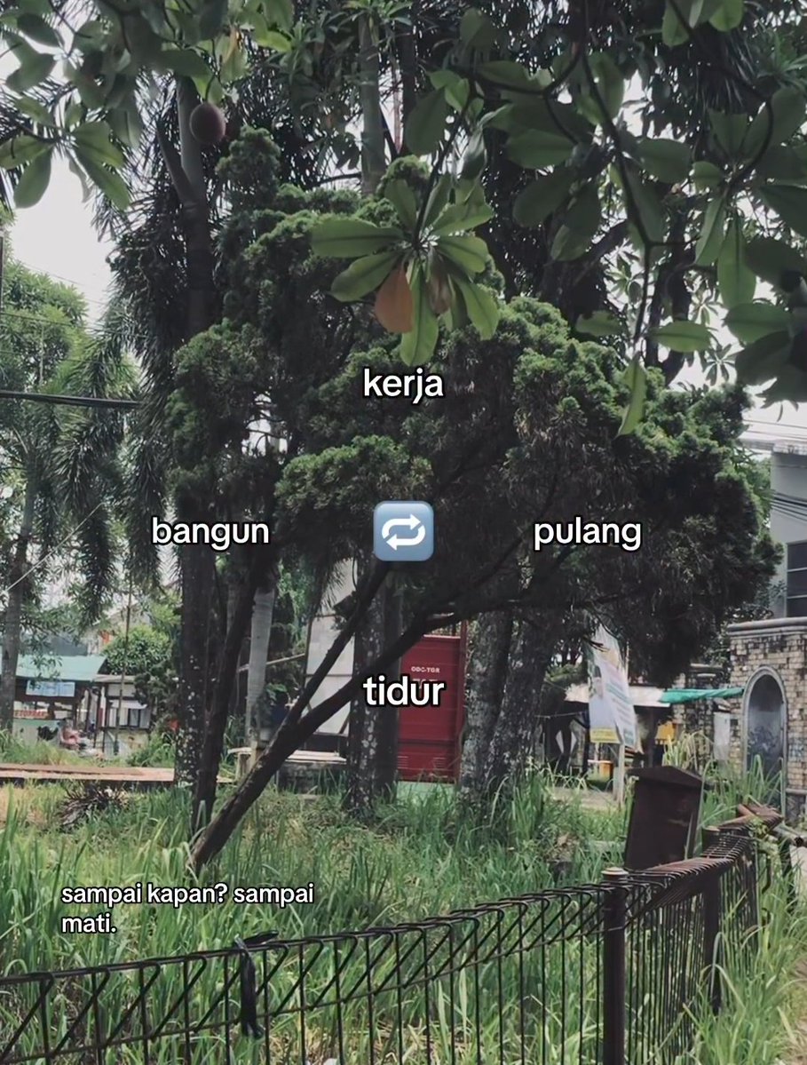 Mbak kun tweet media