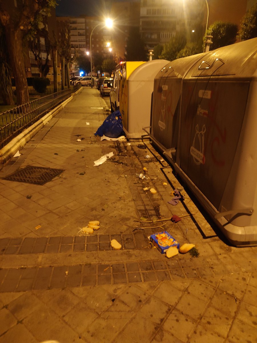 XO 🛡️ tweet media