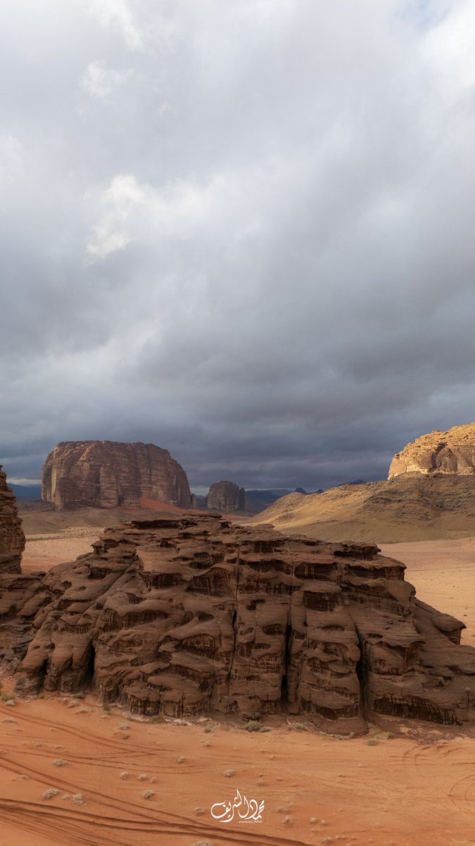 محمد الشريف tweet media