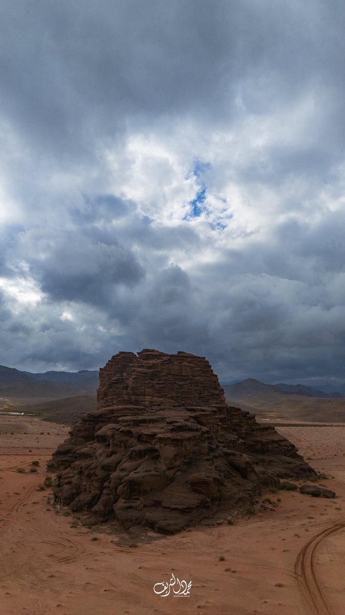 محمد الشريف tweet media