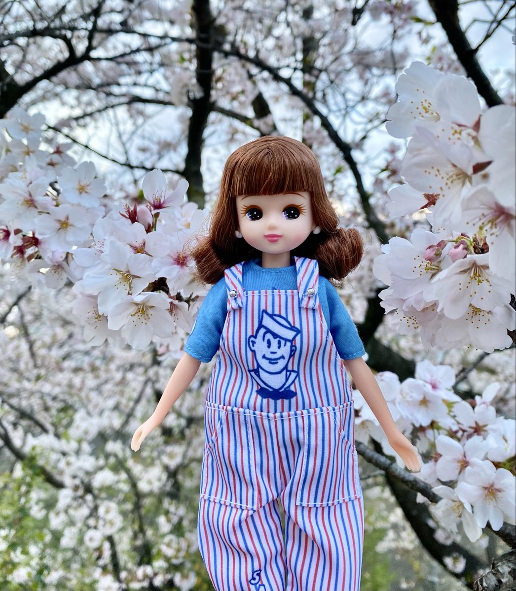 ともり tweet media