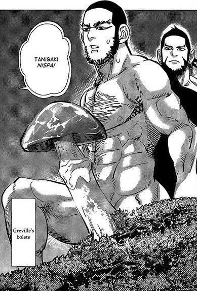 𝙩̲𝙖𝙣𝙞𝙜𝙖𝙠𝙞̅ tweet media