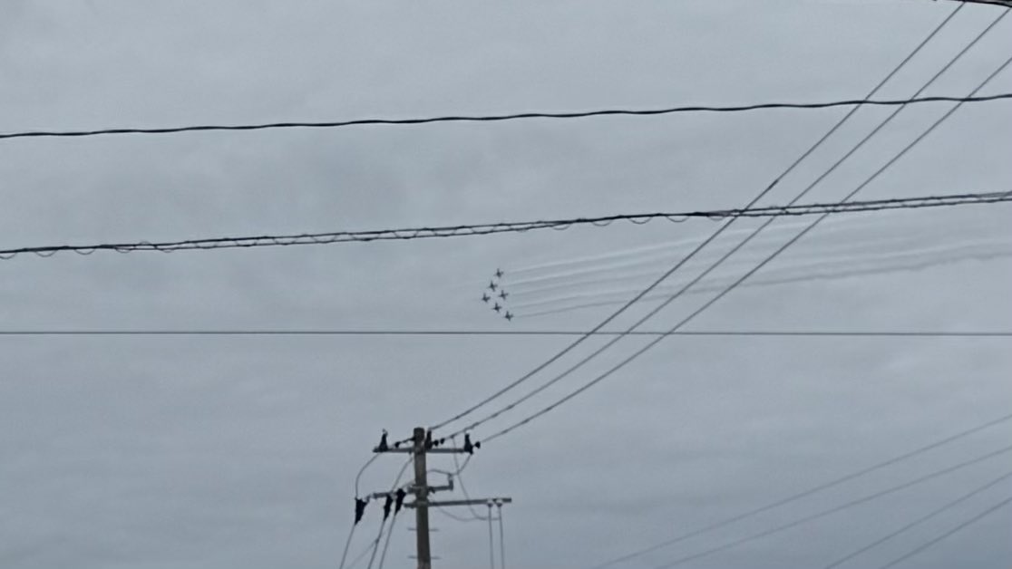 いぎさん tweet media