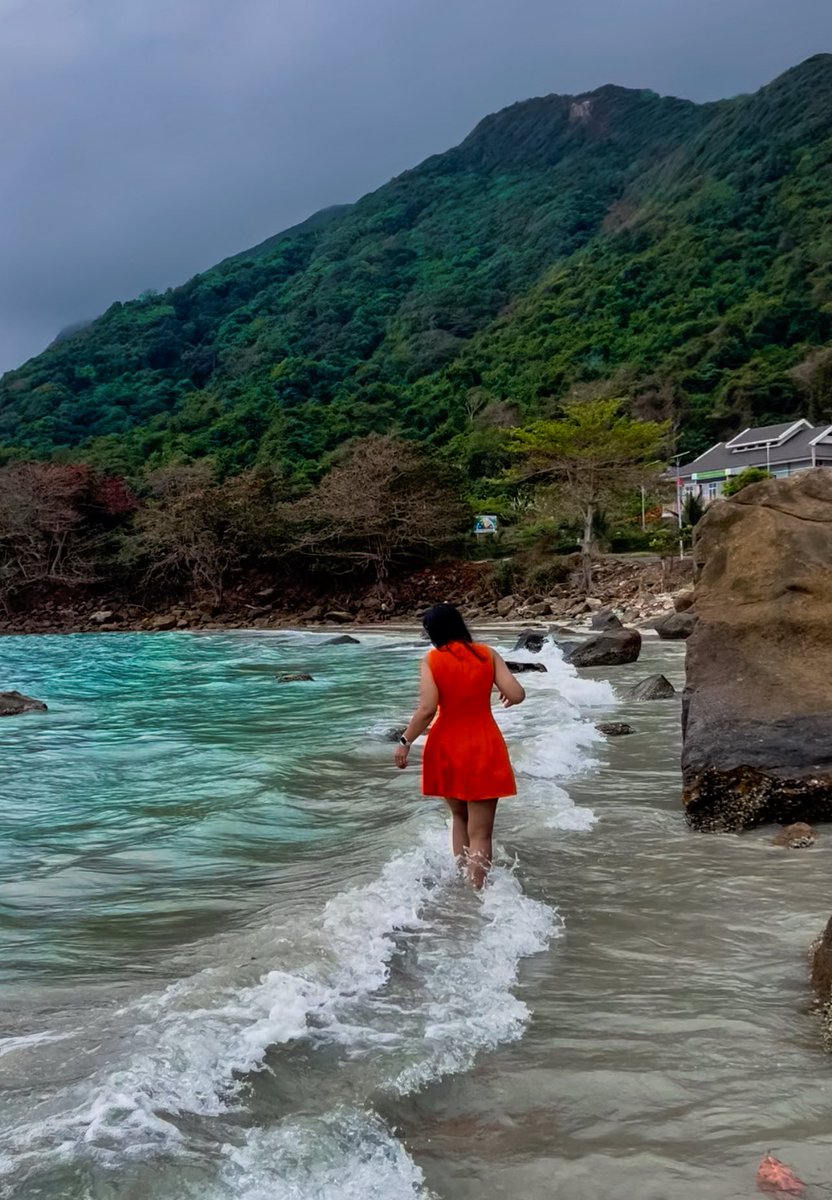 stardust tweet media