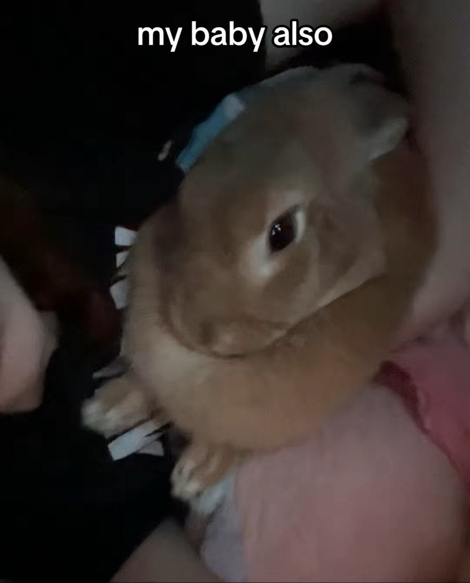 Zeecest._ tweet media