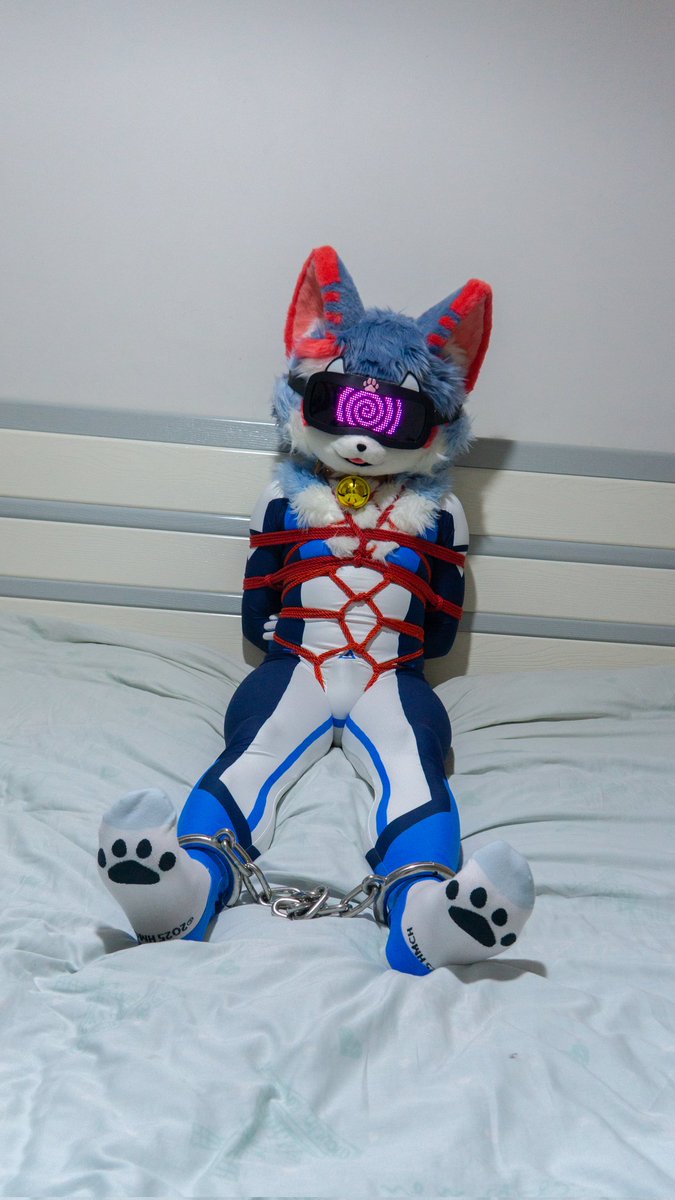 Neoncloud·霓雲🔜提桶跑路😋 tweet media