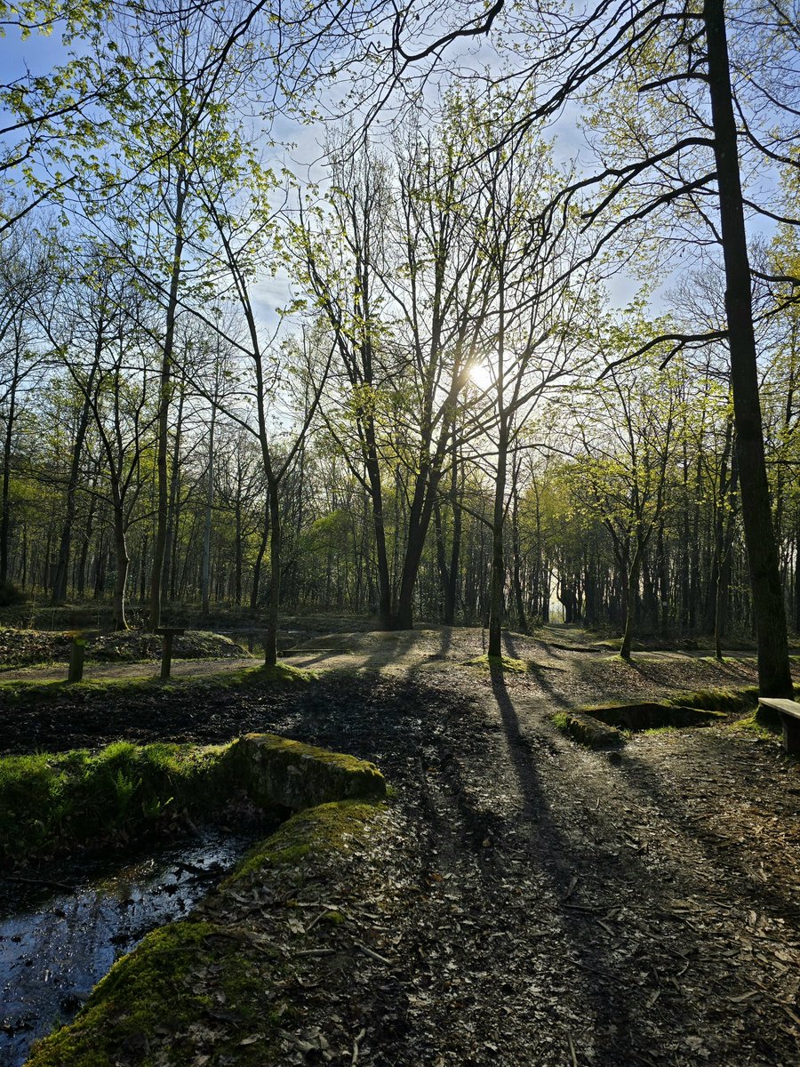 Enna Siala tweet media