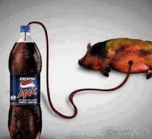 𝖂𝔲𝖑𝔣𝖘𝔱𝖆𝔫 ☧🇦🇲🇰🇿🍵 tweet media