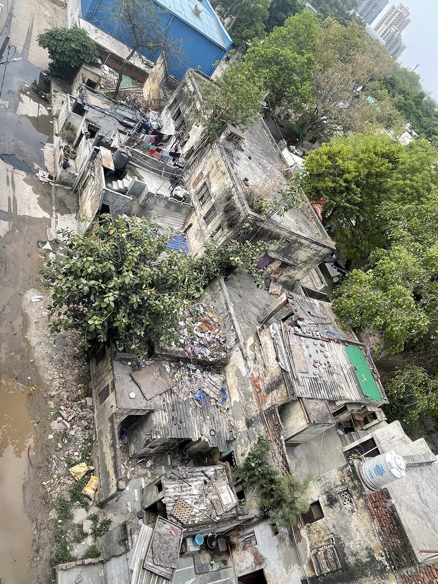 Rohan Sharma tweet media