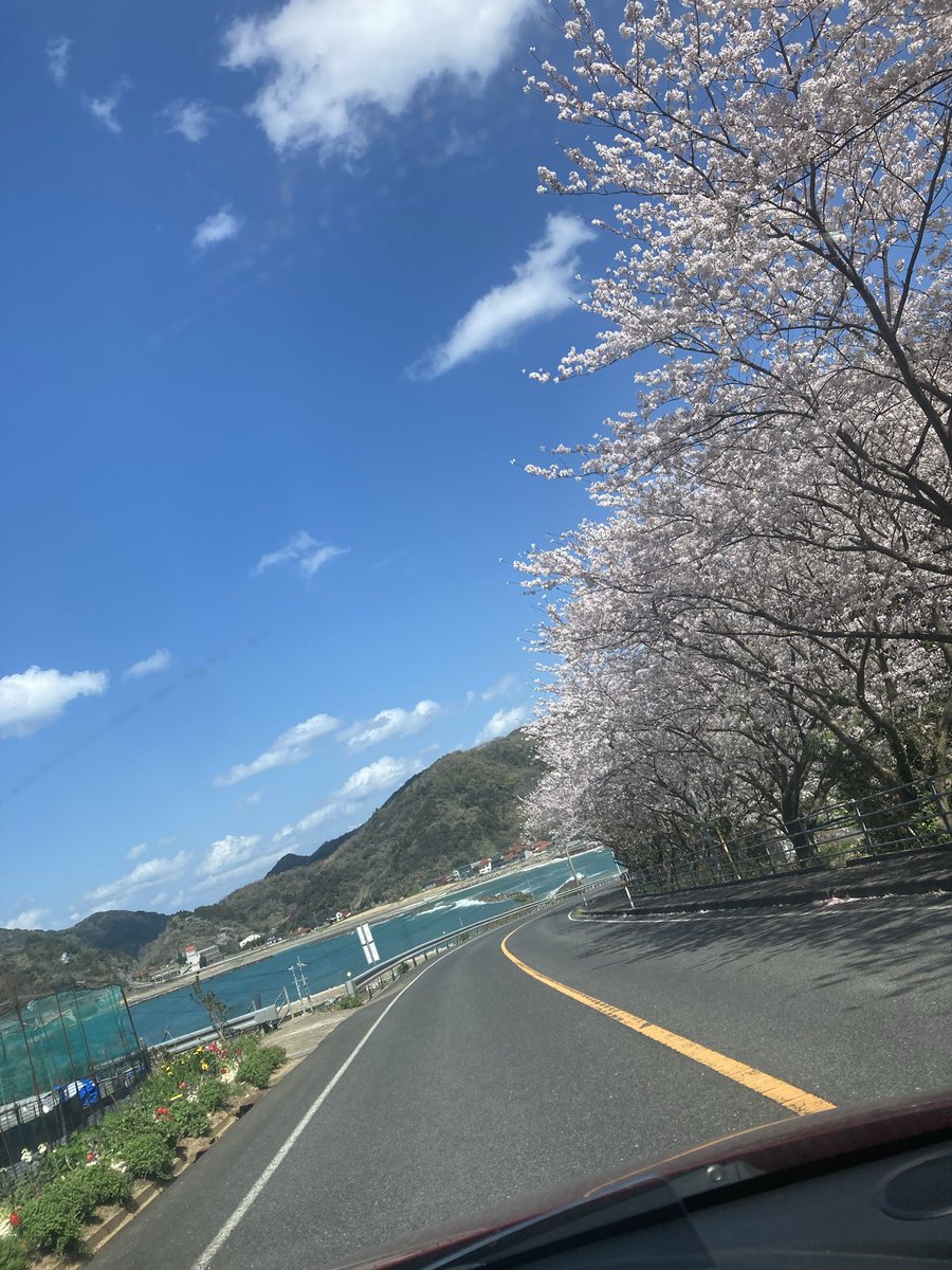 ちんたろぉ☭1413 tweet media