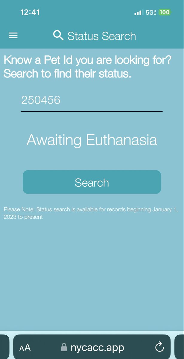 NYC ACC KILLS | TSNY tweet media